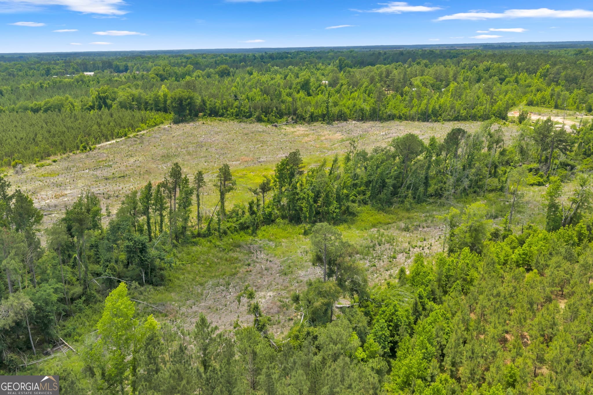 unimproved land for sale at 1 Trinity South, Kite, GA 31049 — photo 2