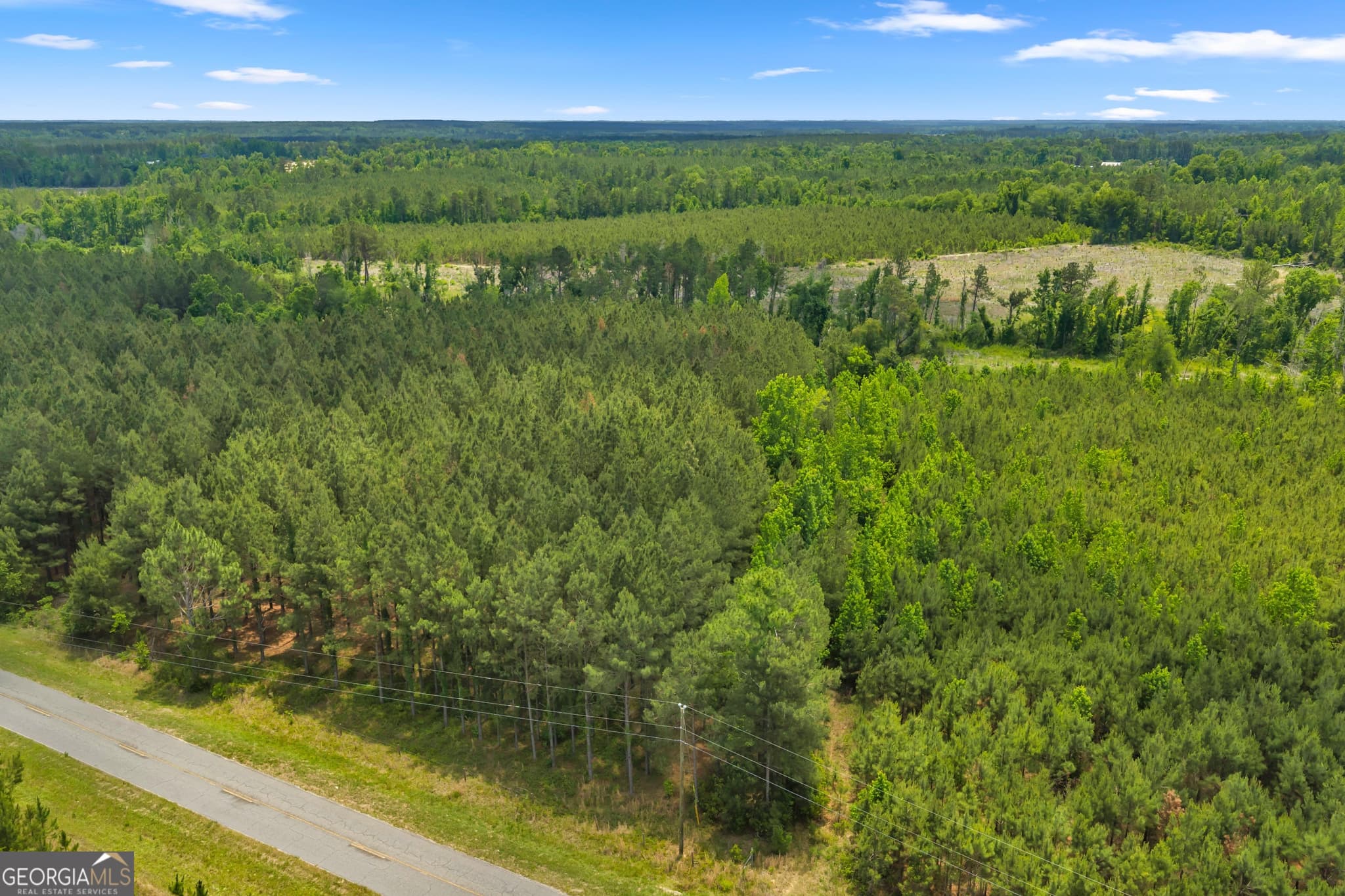 unimproved land for sale at 1 Trinity South, Kite, GA 31049 — photo 6