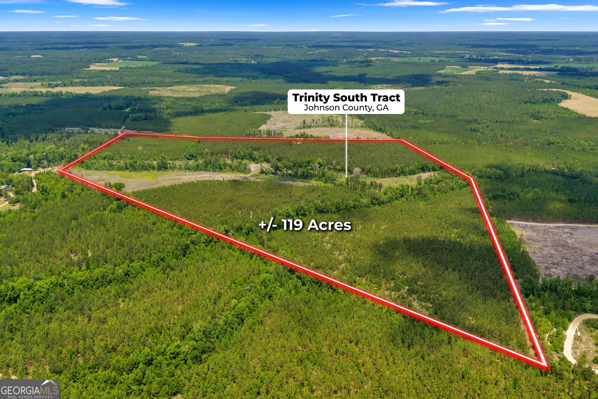 unimproved land for sale at 1 Trinity South, Kite, GA 31049 — photo 7