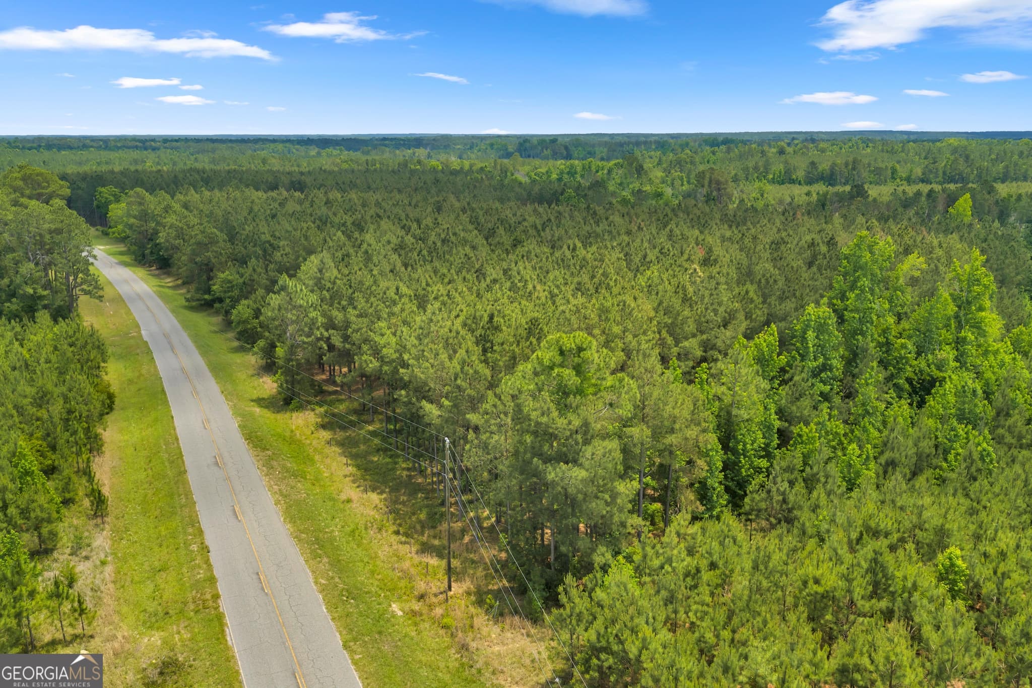 unimproved land for sale at 1 Trinity South, Kite, GA 31049 — photo 3