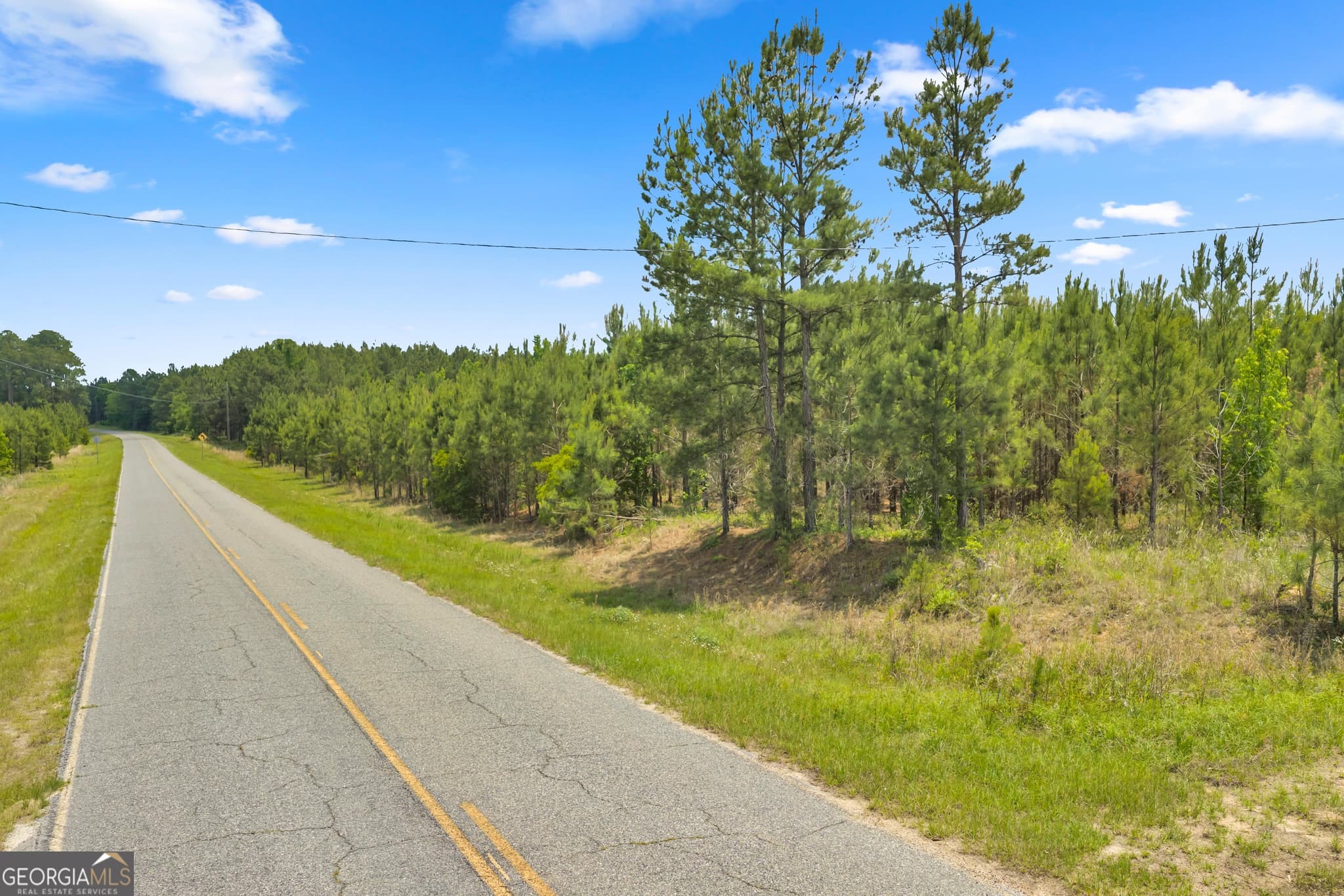 unimproved land for sale at 1 Trinity South, Kite, GA 31049 — photo 10