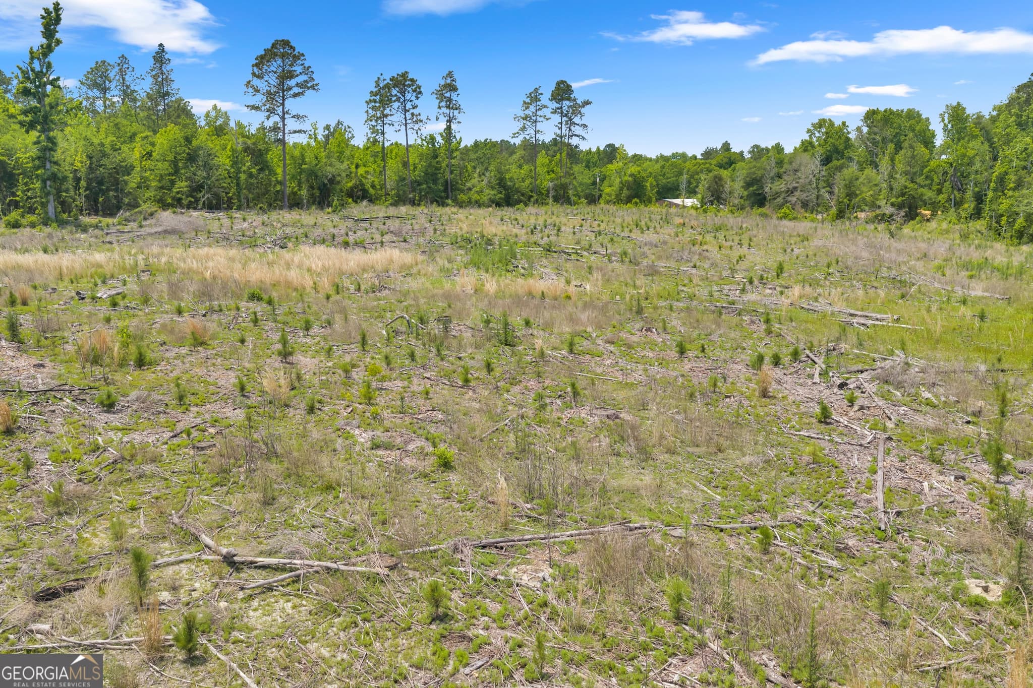 unimproved land for sale at 1 Trinity South, Kite, GA 31049 — photo 4