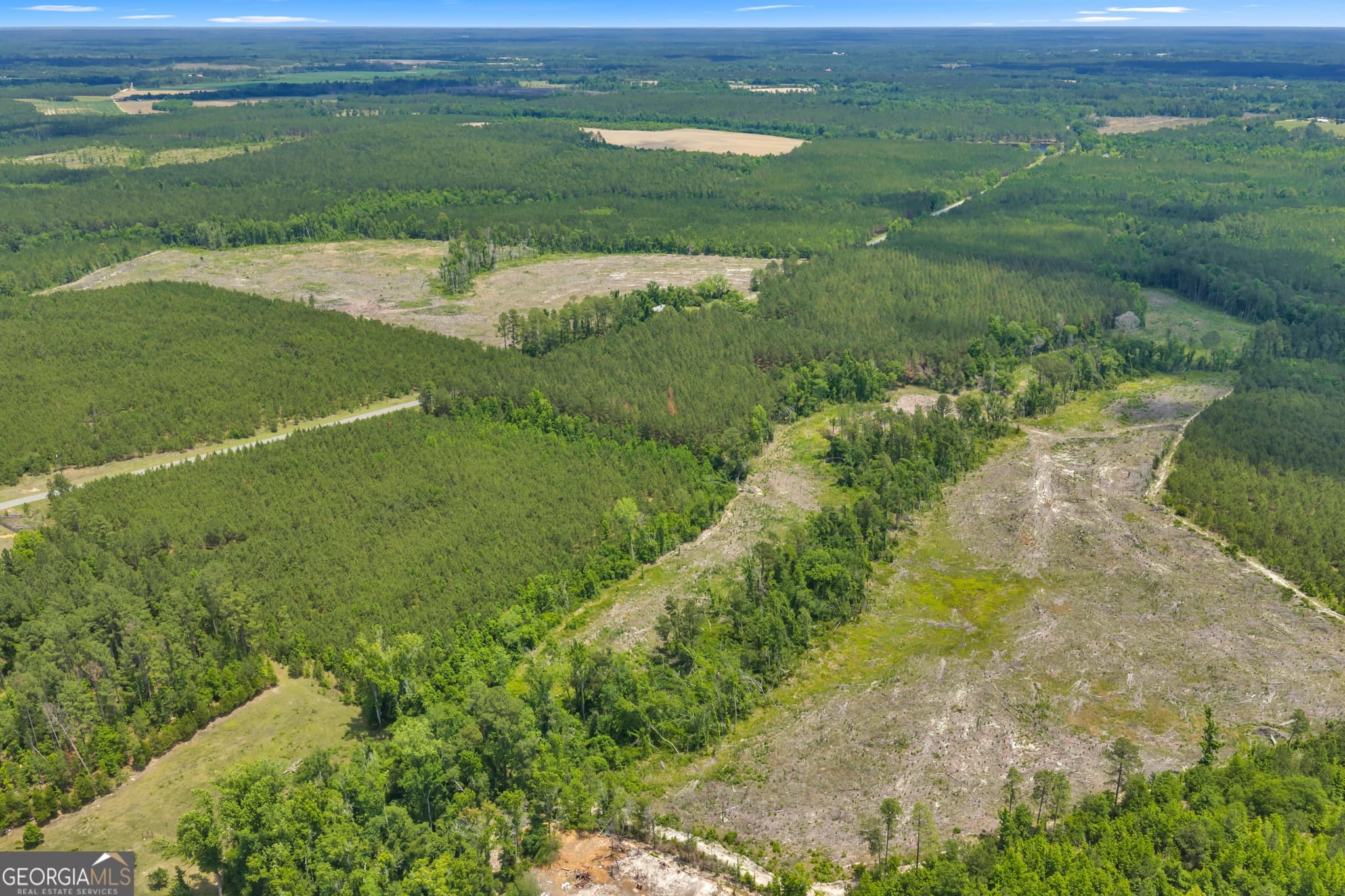 unimproved land for sale at 1 Trinity South, Kite, GA 31049 — photo 8