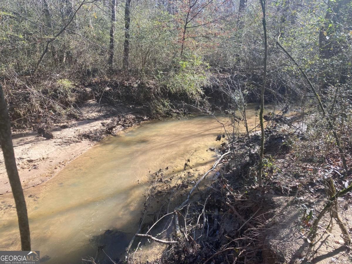 unimproved land for sale at 348 Kent Rock Road, Loganville, GA 30052 — photo 3