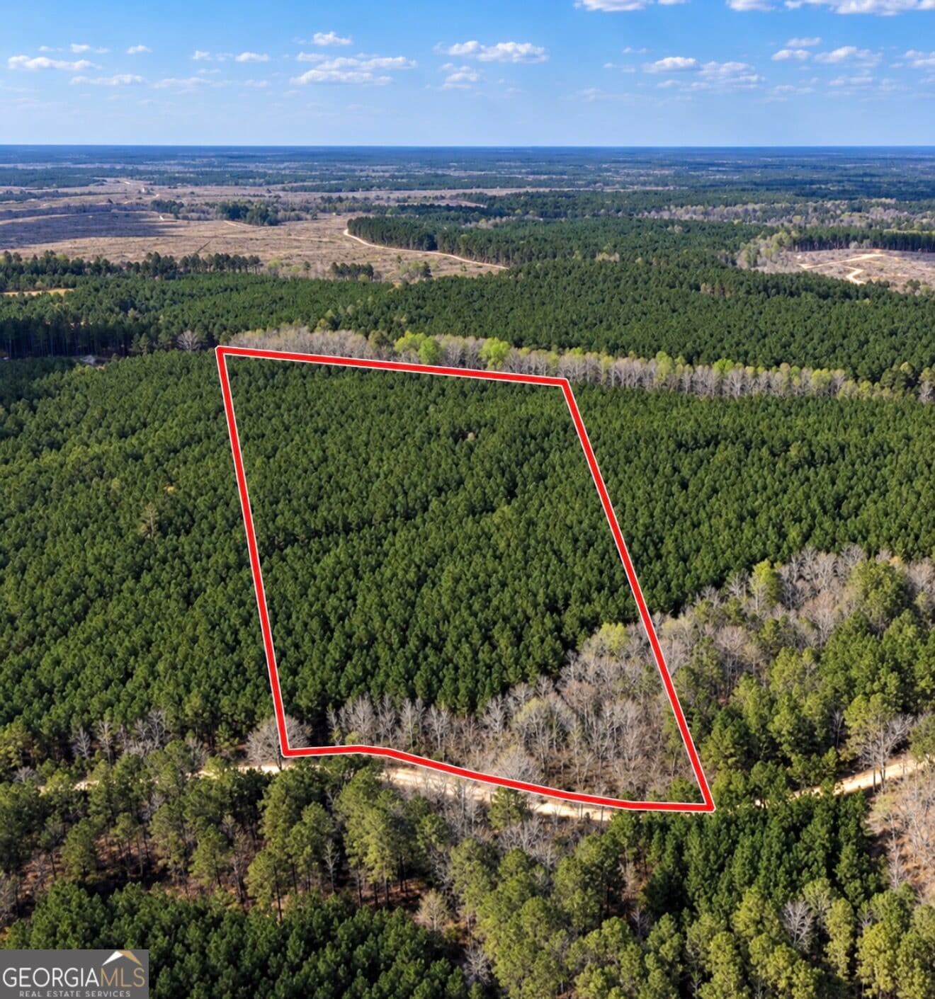 unimproved land for sale at 12 Hollis Norman Road, Tignall, GA 30668 — photo 2