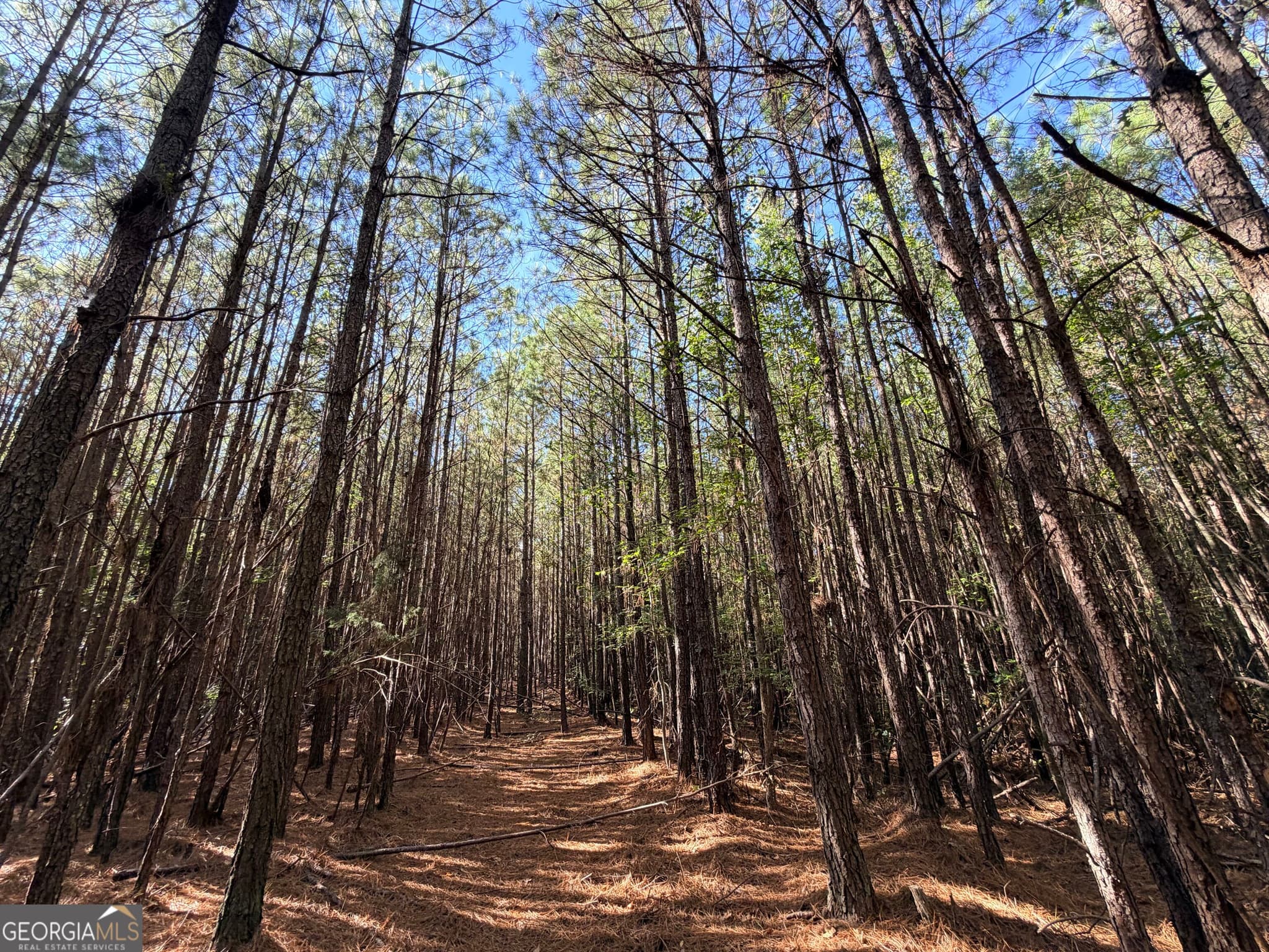 unimproved land for sale at 12 Hollis Norman Road, Tignall, GA 30668 — photo 6