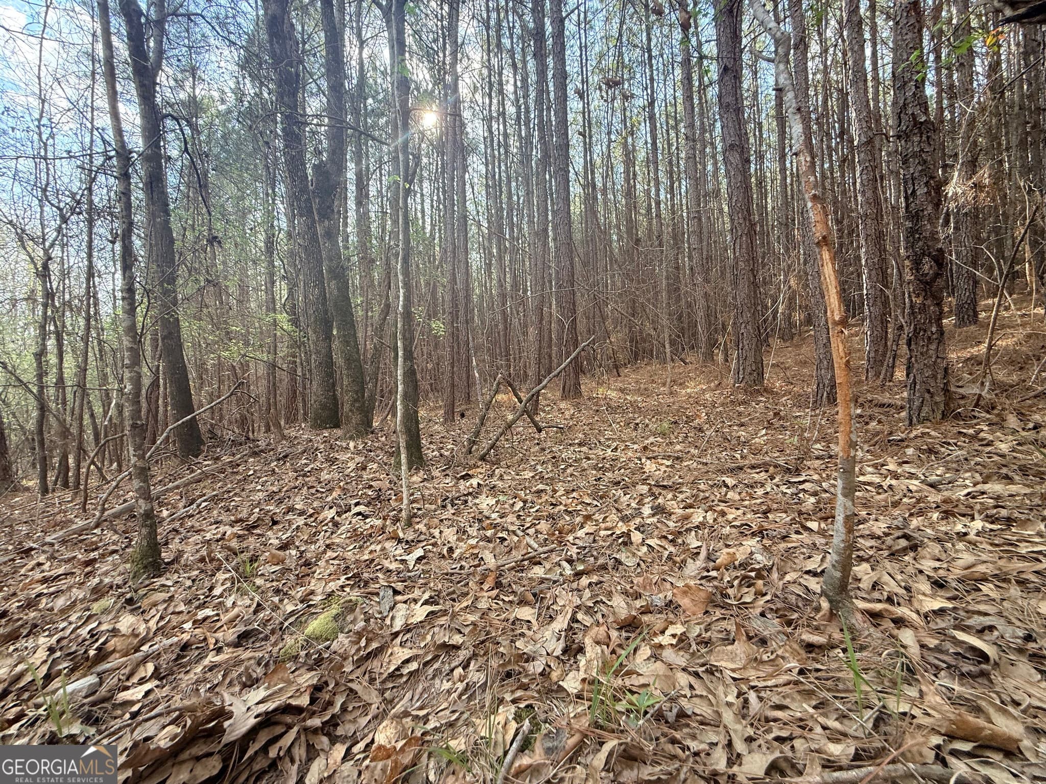 unimproved land for sale at 12 Hollis Norman Road, Tignall, GA 30668 — photo 7