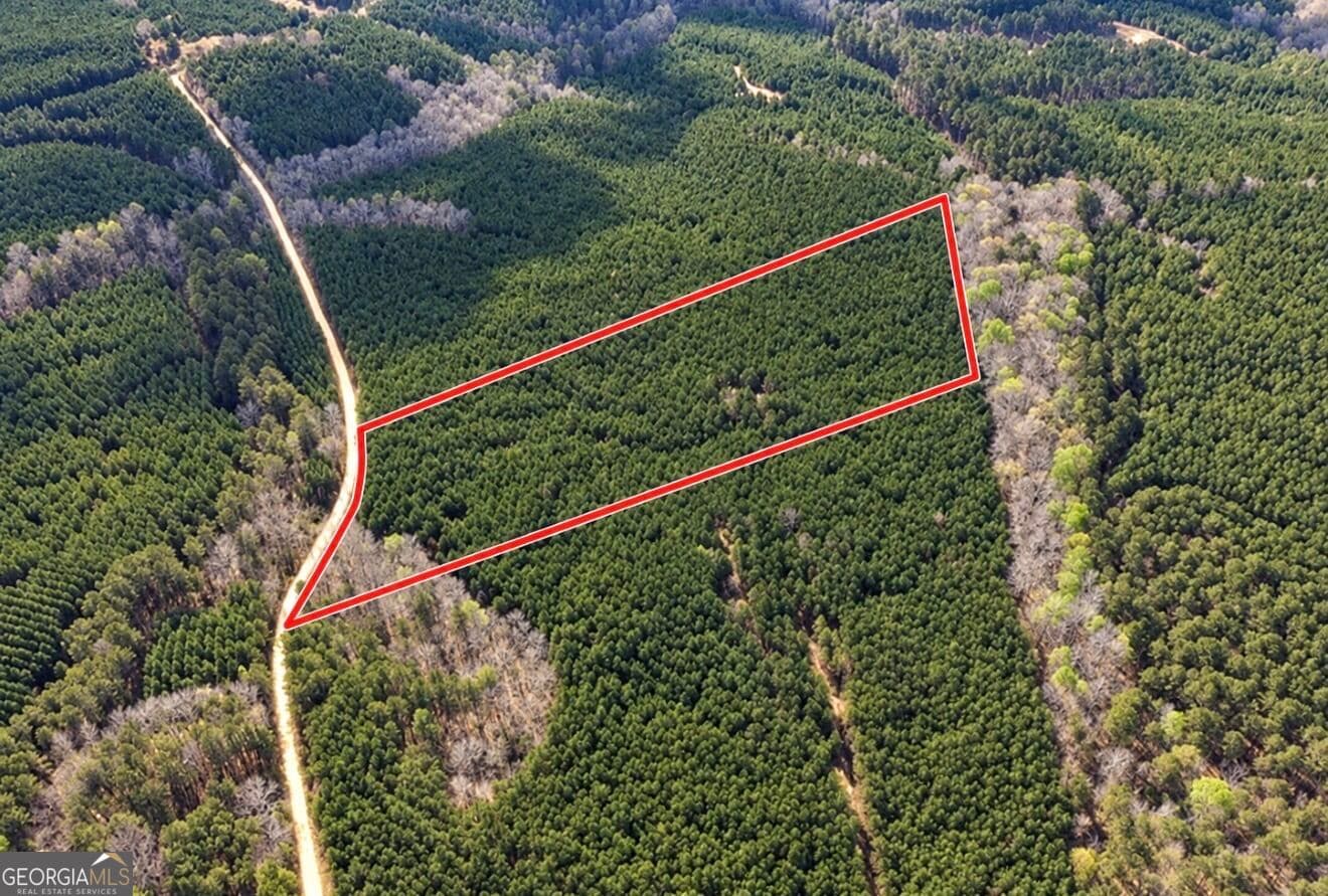 unimproved land for sale at 12 Hollis Norman Road, Tignall, GA 30668 — photo 3