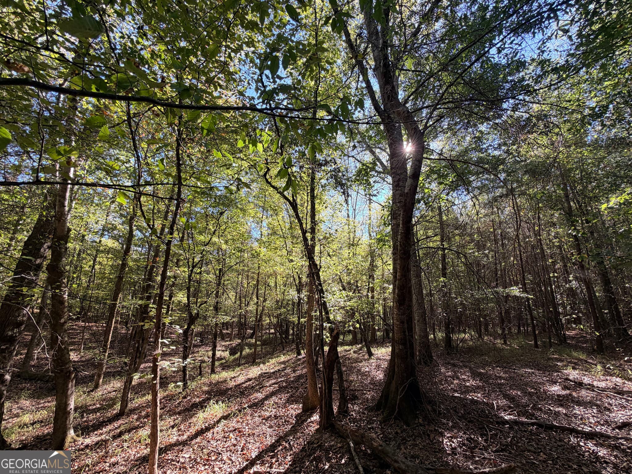 unimproved land for sale at 12 Hollis Norman Road, Tignall, GA 30668 — photo 1 of 41