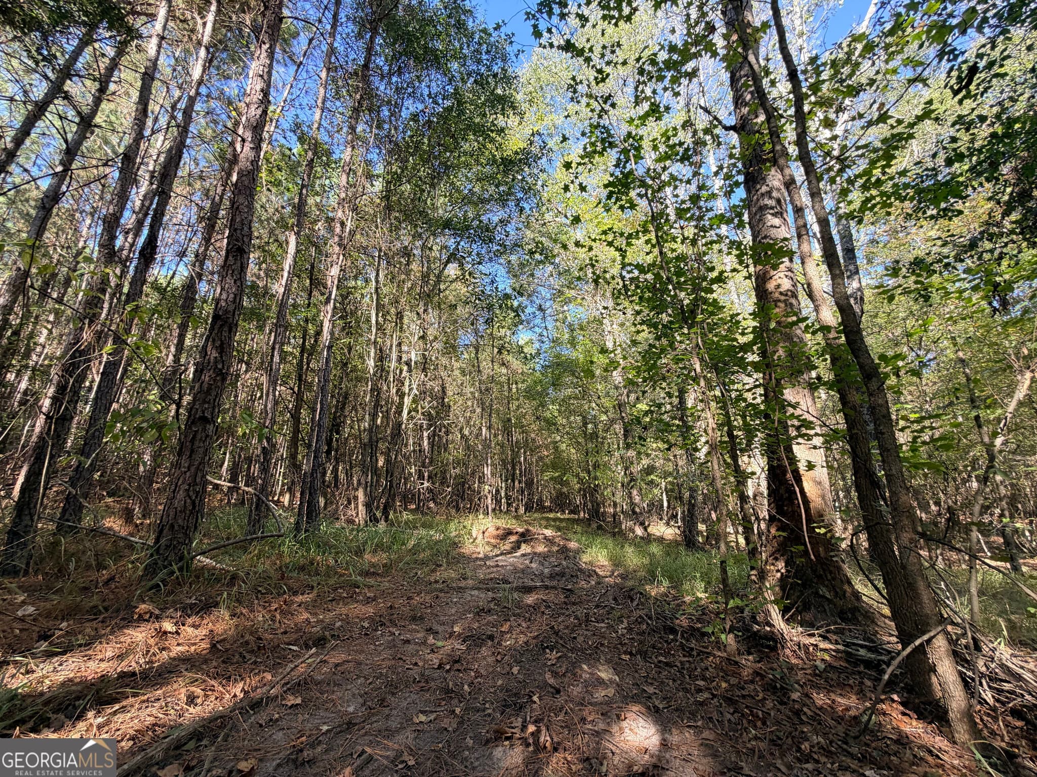 unimproved land for sale at 12 Hollis Norman Road, Tignall, GA 30668 — photo 5
