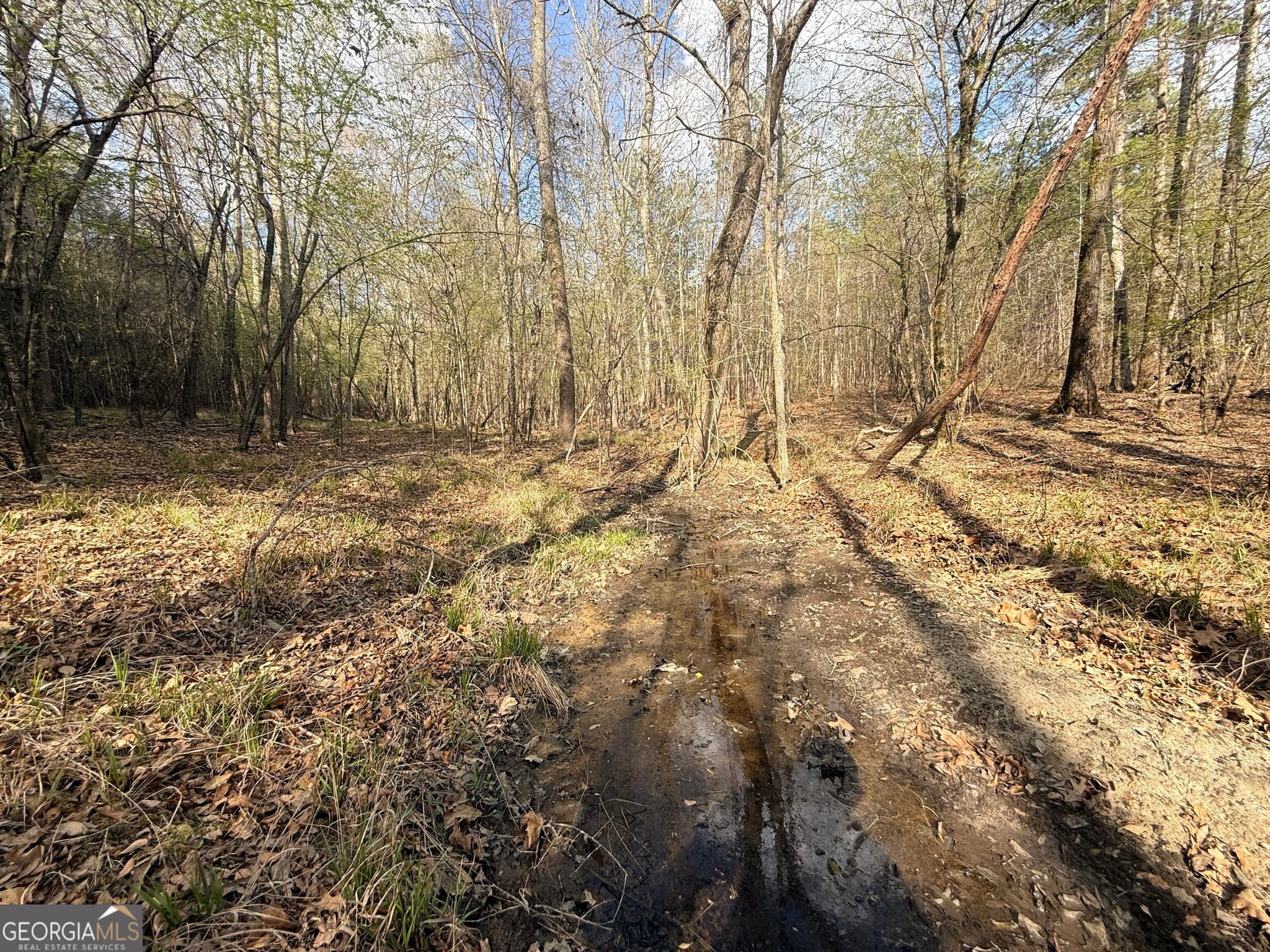 unimproved land for sale at 12 Hollis Norman Road, Tignall, GA 30668 — photo 9