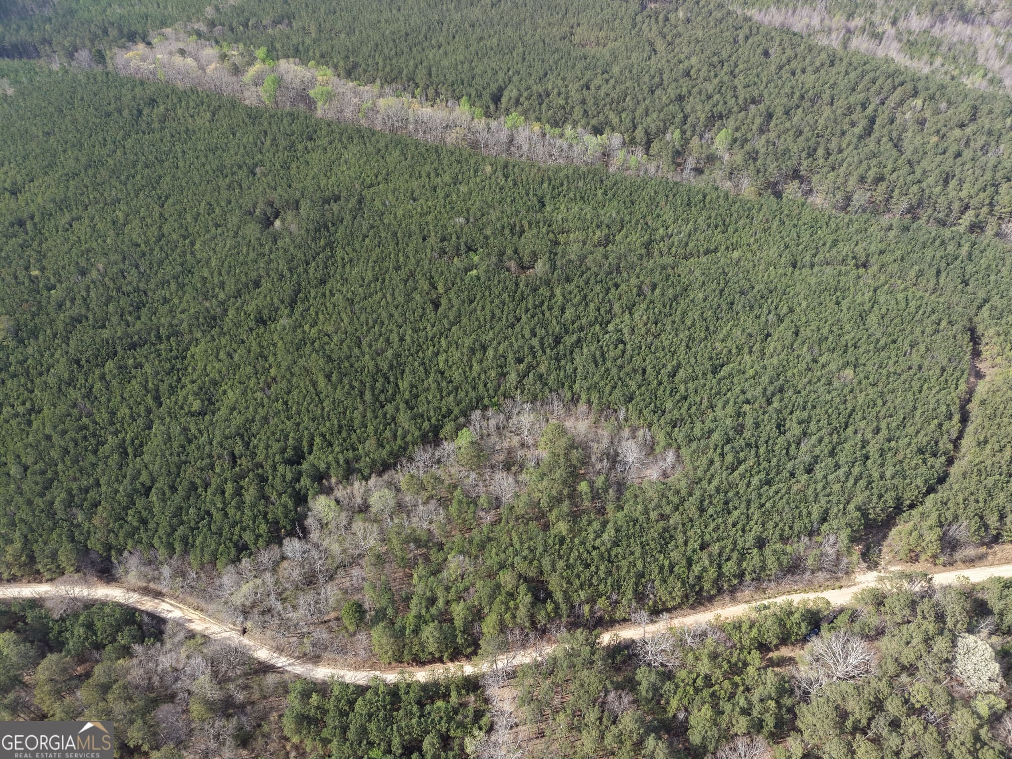 unimproved land for sale at 12 Hollis Norman Road, Tignall, GA 30668 — photo 10