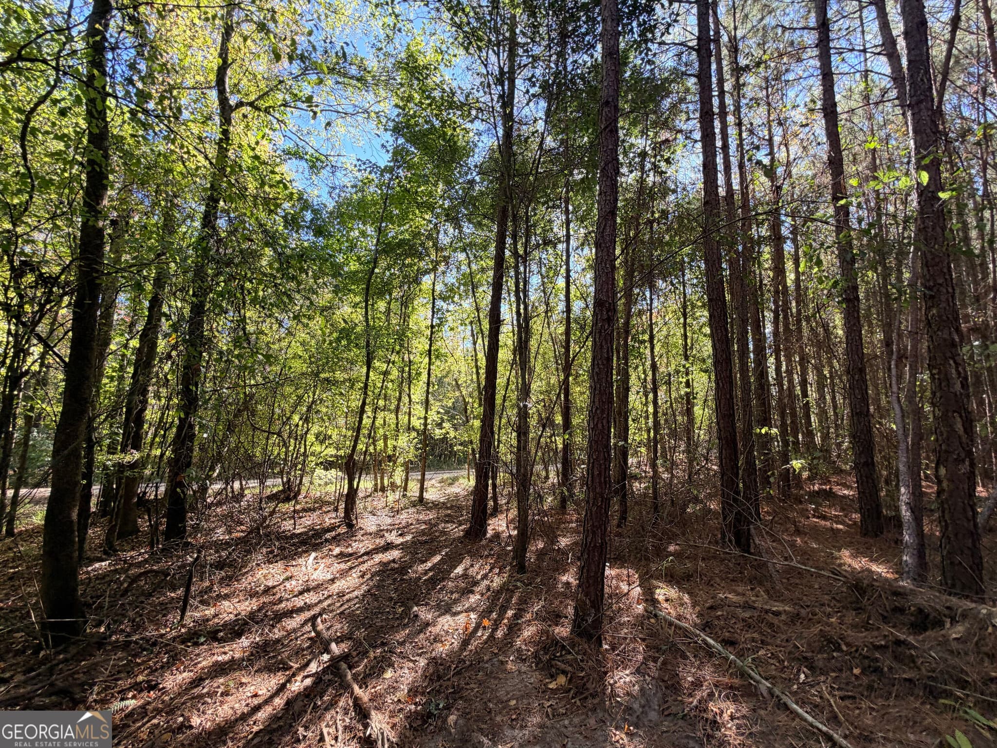 unimproved land for sale at 12 Hollis Norman Road, Tignall, GA 30668 — photo 4
