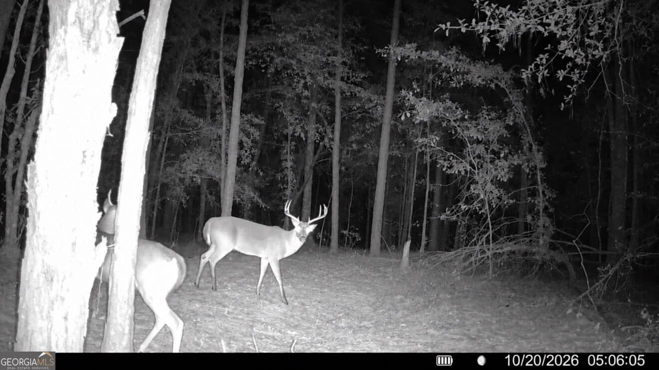 unimproved land for sale at 12 Hollis Norman Road, Tignall, GA 30668 — photo 8