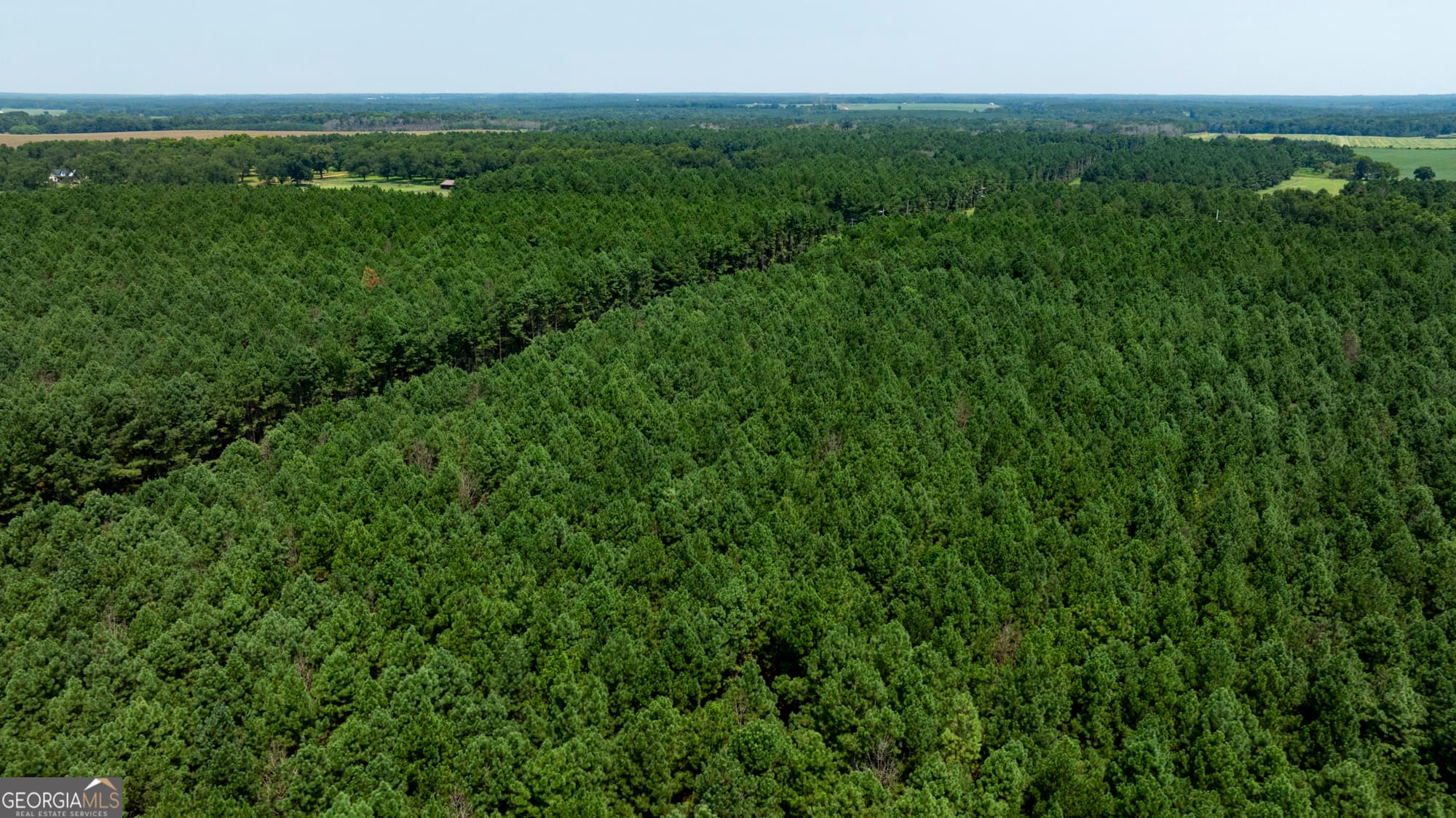 estate lot for sale at 0 Northern County Line Road, Unadilla, GA 31091 — photo 6