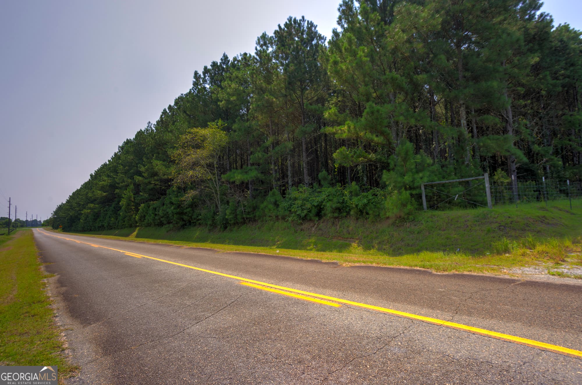 estate lot for sale at 0 Northern County Line Road, Unadilla, GA 31091 — photo 5