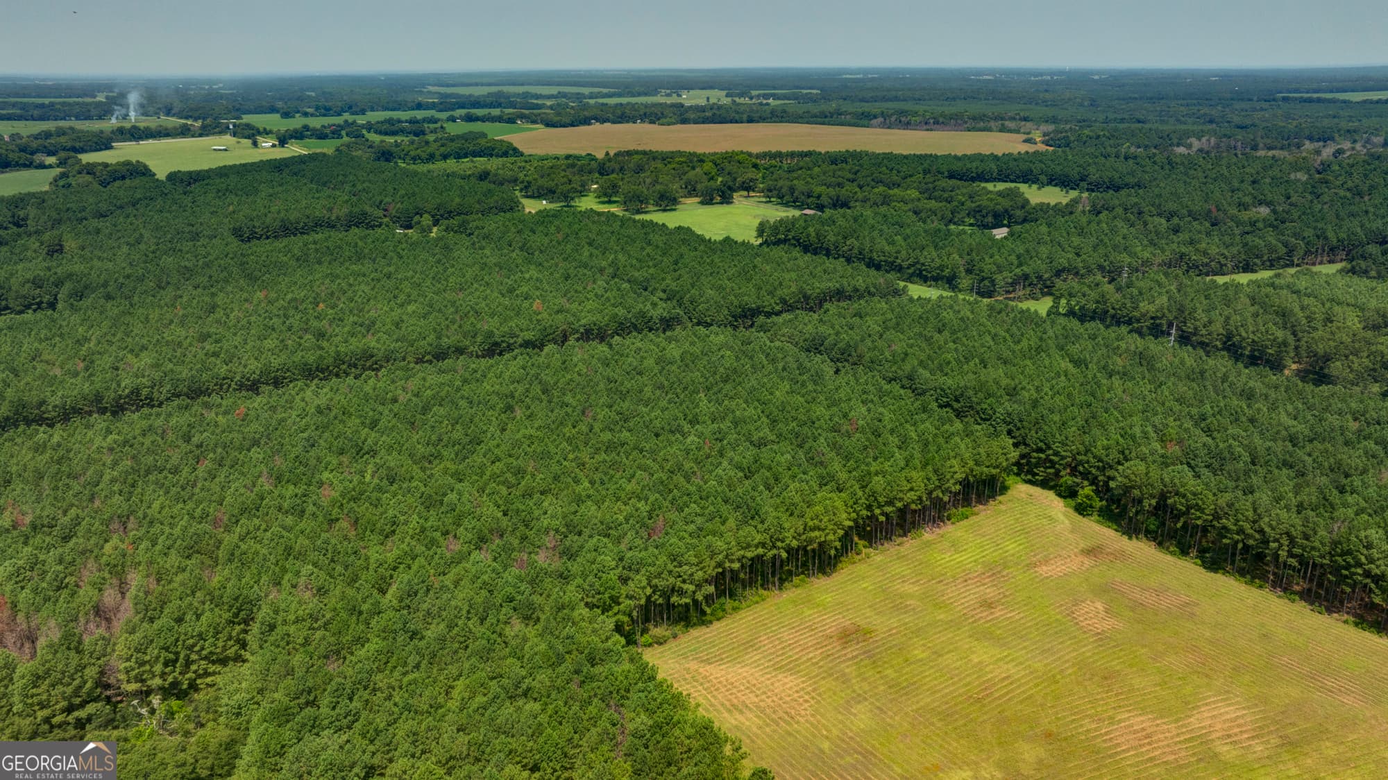 estate lot for sale at 0 Northern County Line Road, Unadilla, GA 31091 — photo 4