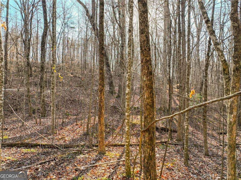 residential lot for sale at LOT 12 Mount Mincie Road, Murrayville, GA 30564 — photo 2