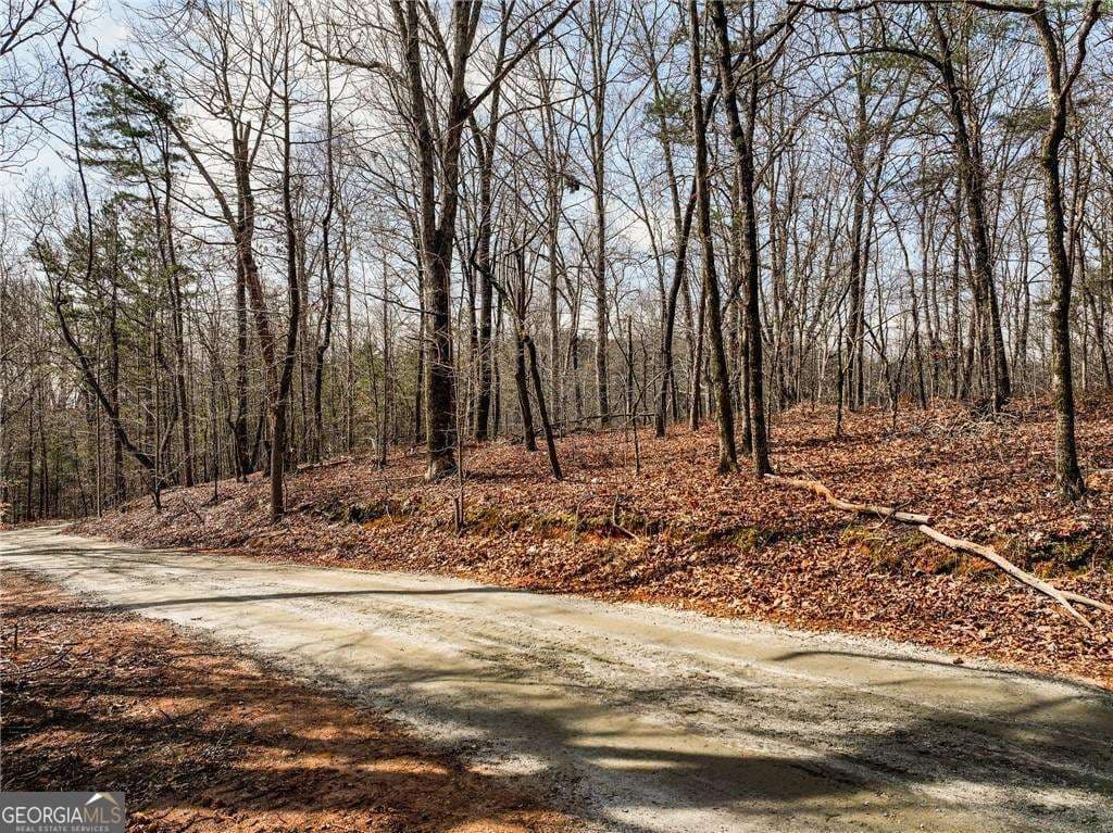 residential lot for sale at LOT 12 Mount Mincie Road, Murrayville, GA 30564 — photo 6