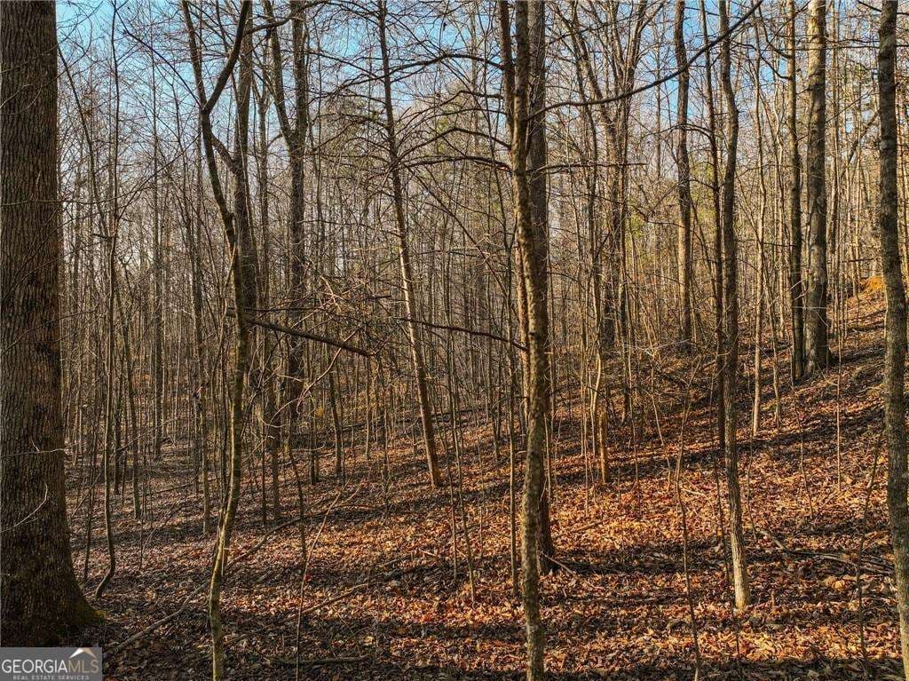 residential lot for sale at LOT 12 Mount Mincie Road, Murrayville, GA 30564 — photo 1 of 24