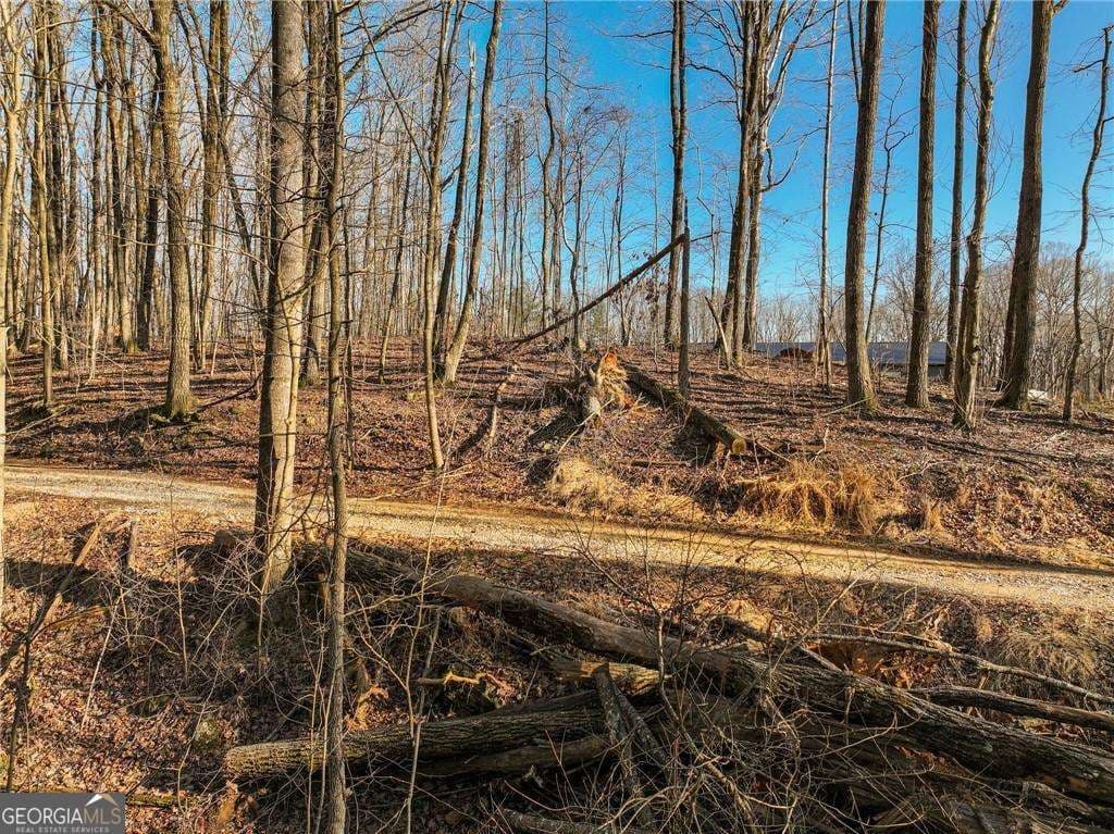 residential lot for sale at LOT 12 Mount Mincie Road, Murrayville, GA 30564 — photo 9