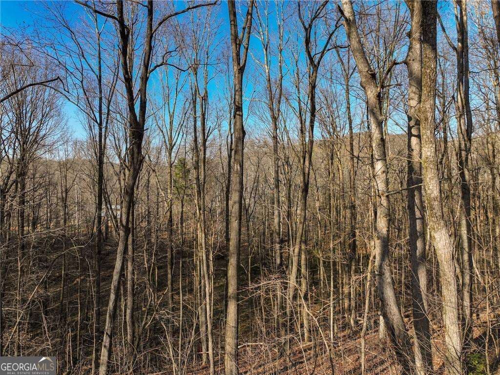 residential lot for sale at LOT 12 Mount Mincie Road, Murrayville, GA 30564 — photo 10