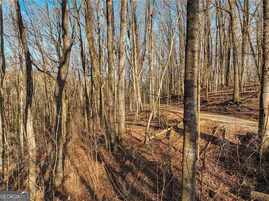 residential lot for sale at LOT 12 Mount Mincie Road, Murrayville, GA 30564 — photo 8