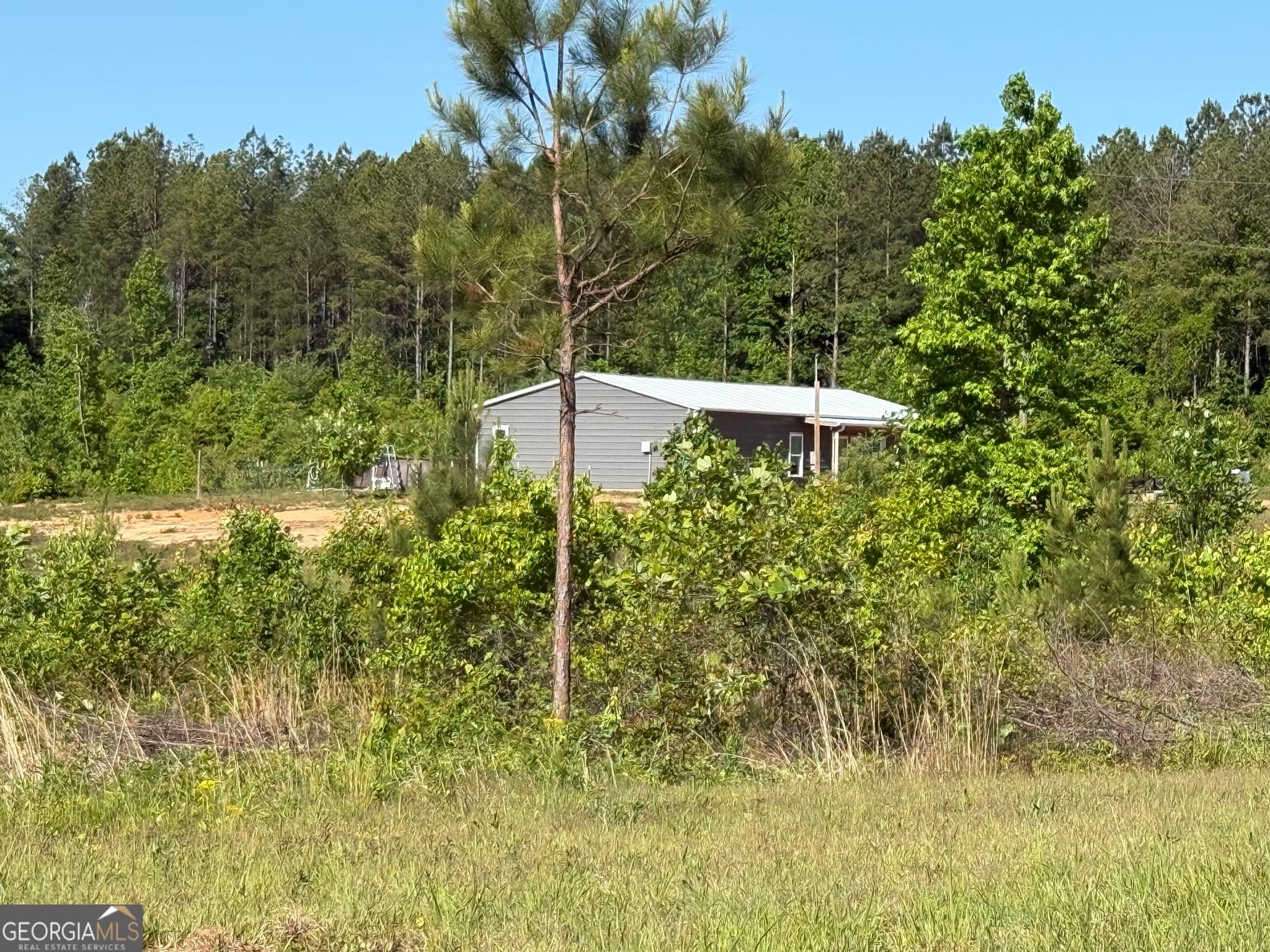 3 bedroom, 1 bathroom, 1,350 sq ft single family residence for sale at 1185 County Road 402, Fruithurst, AL 36262 — photo 5