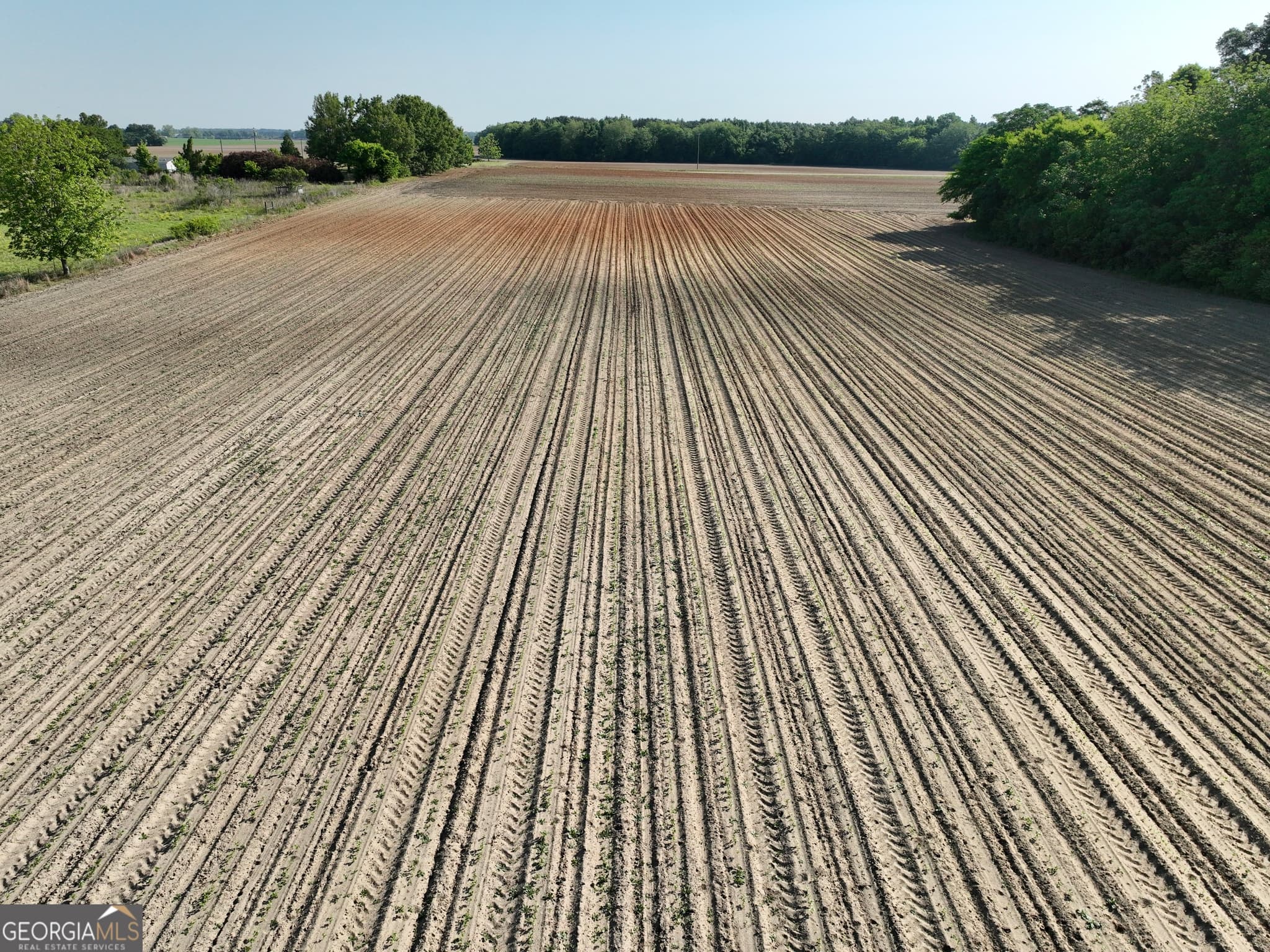 agriculture for sale at 0 Folds Road, Pineview, GA 31071 — photo 2