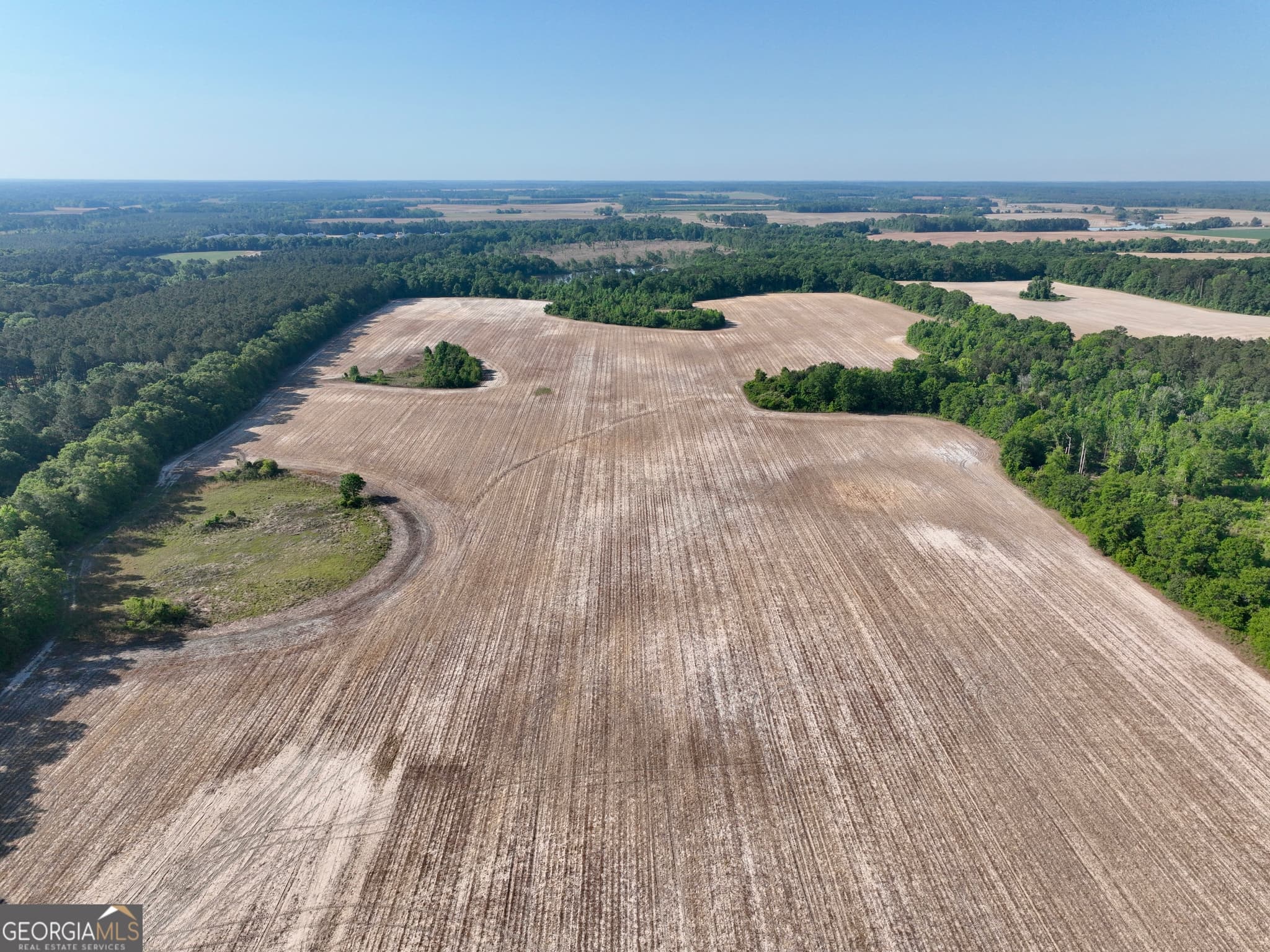 agriculture for sale at 0 Folds Road, Pineview, GA 31071 — photo 6