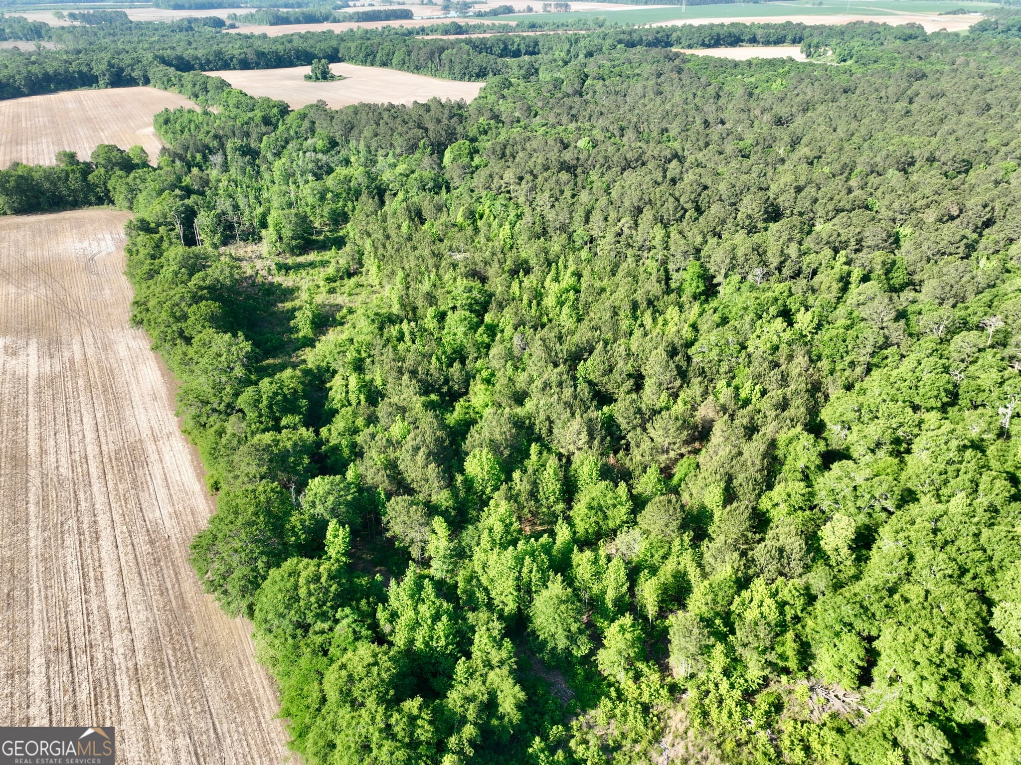 agriculture for sale at 0 Folds Road, Pineview, GA 31071 — photo 7