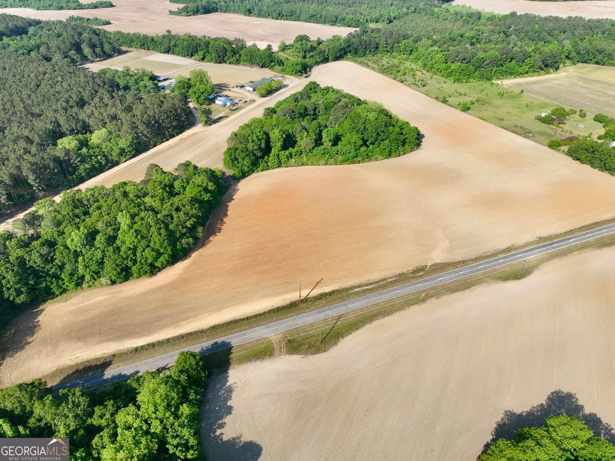 agriculture for sale at 0 Folds Road, Pineview, GA 31071 — photo 3