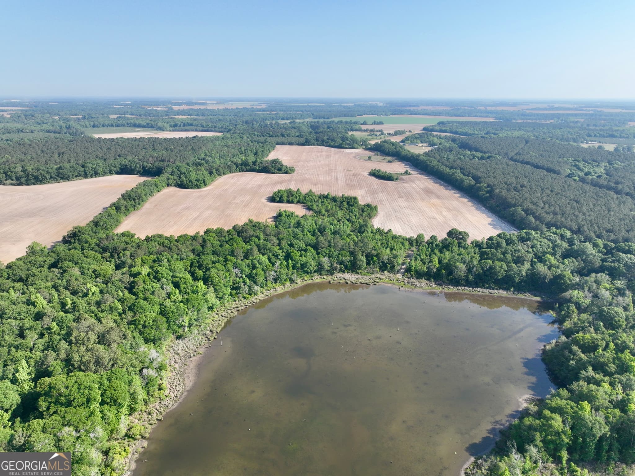 agriculture for sale at 0 Folds Road, Pineview, GA 31071