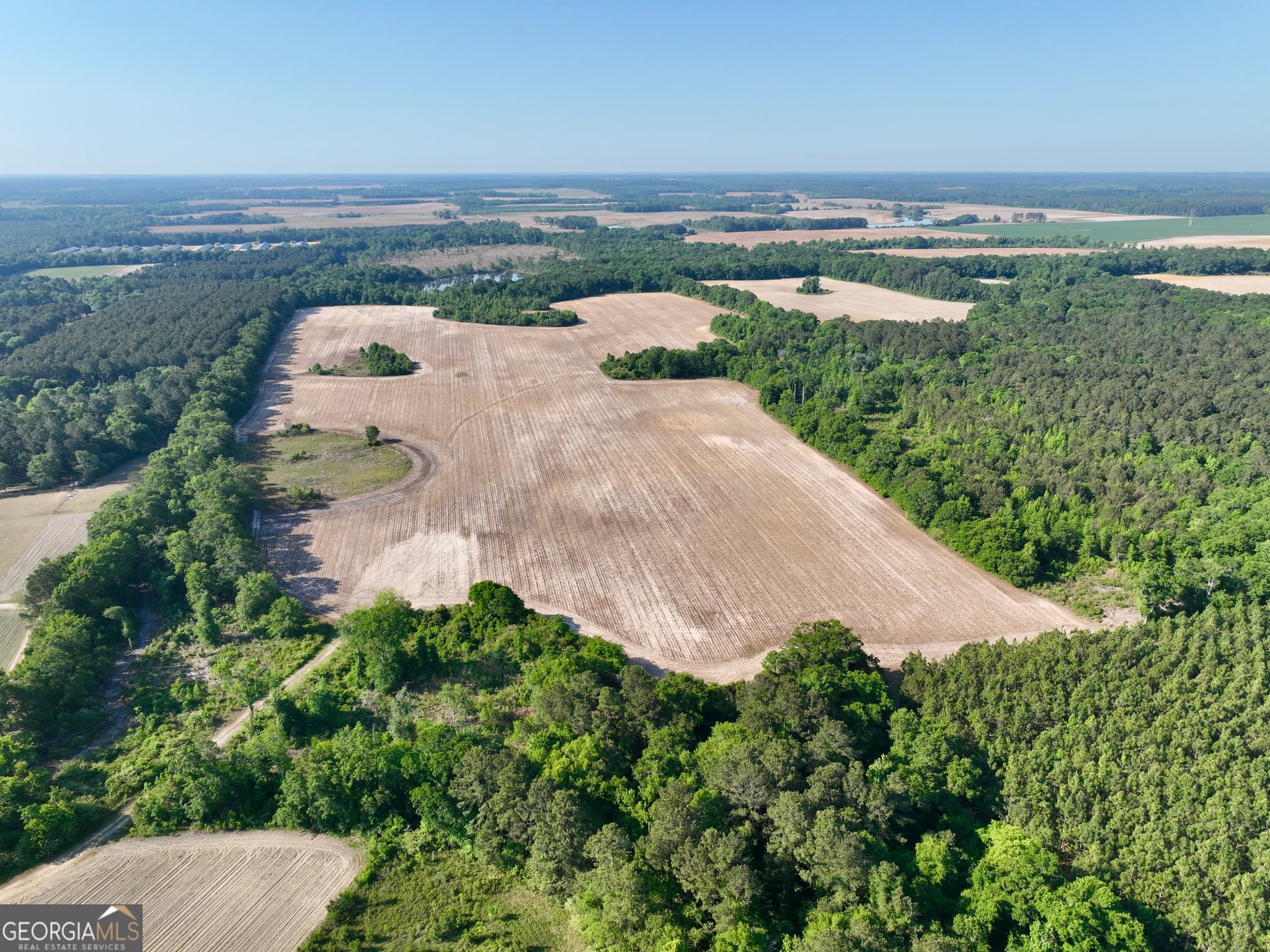 agriculture for sale at 0 Folds Road, Pineview, GA 31071 — photo 5