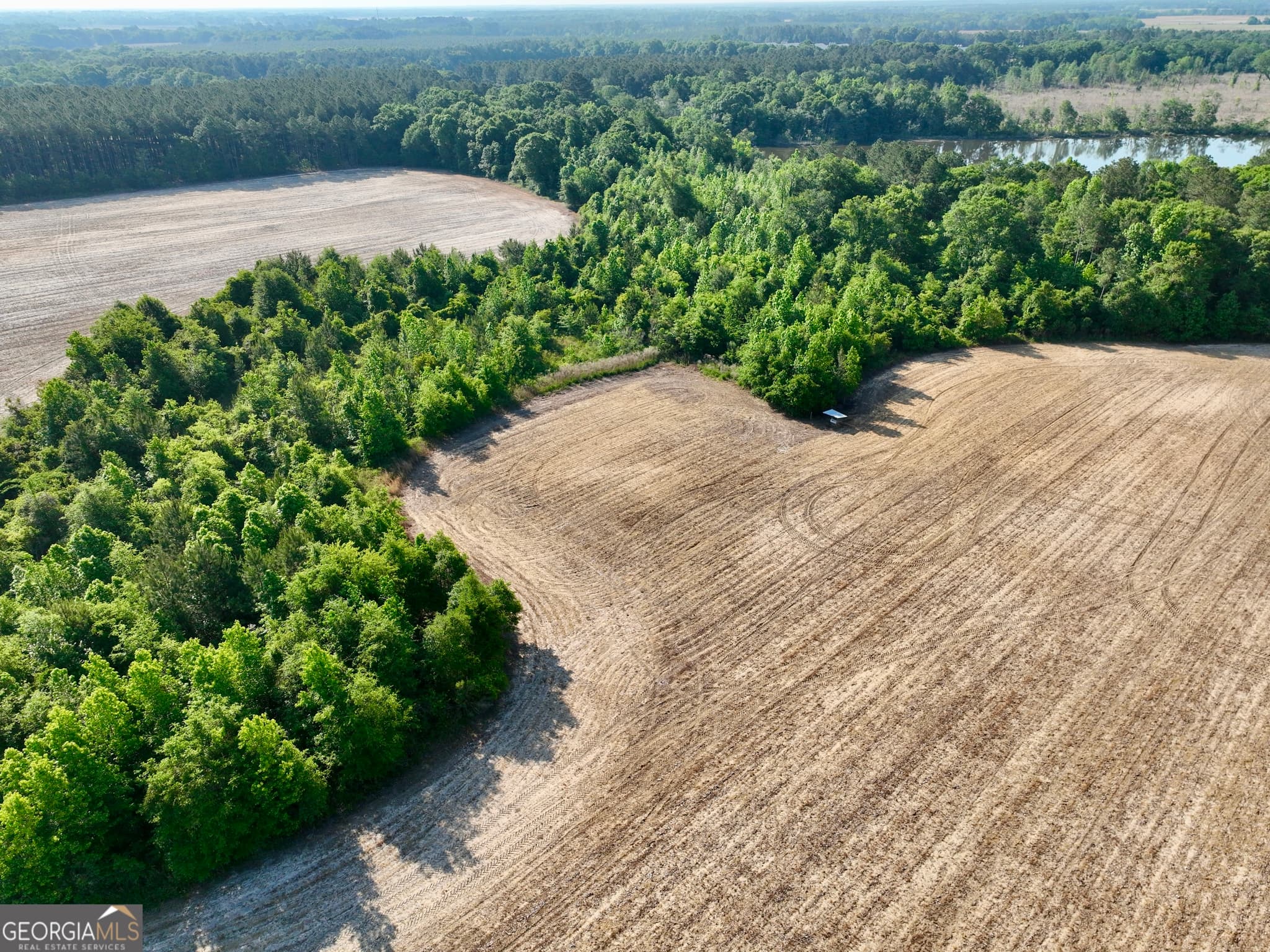 agriculture for sale at 0 Folds Road, Pineview, GA 31071 — photo 9