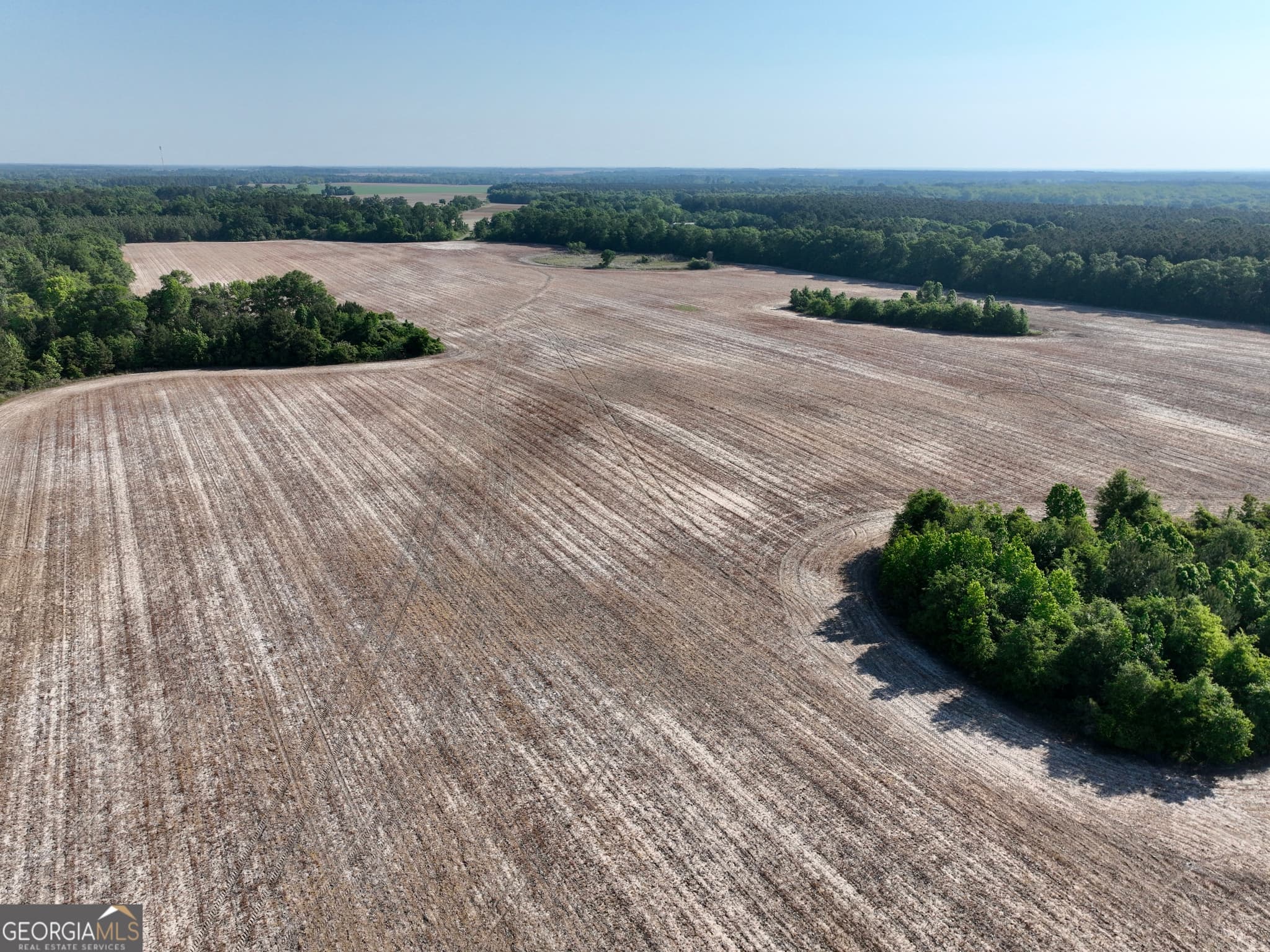 agriculture for sale at 0 Folds Road, Pineview, GA 31071 — photo 10