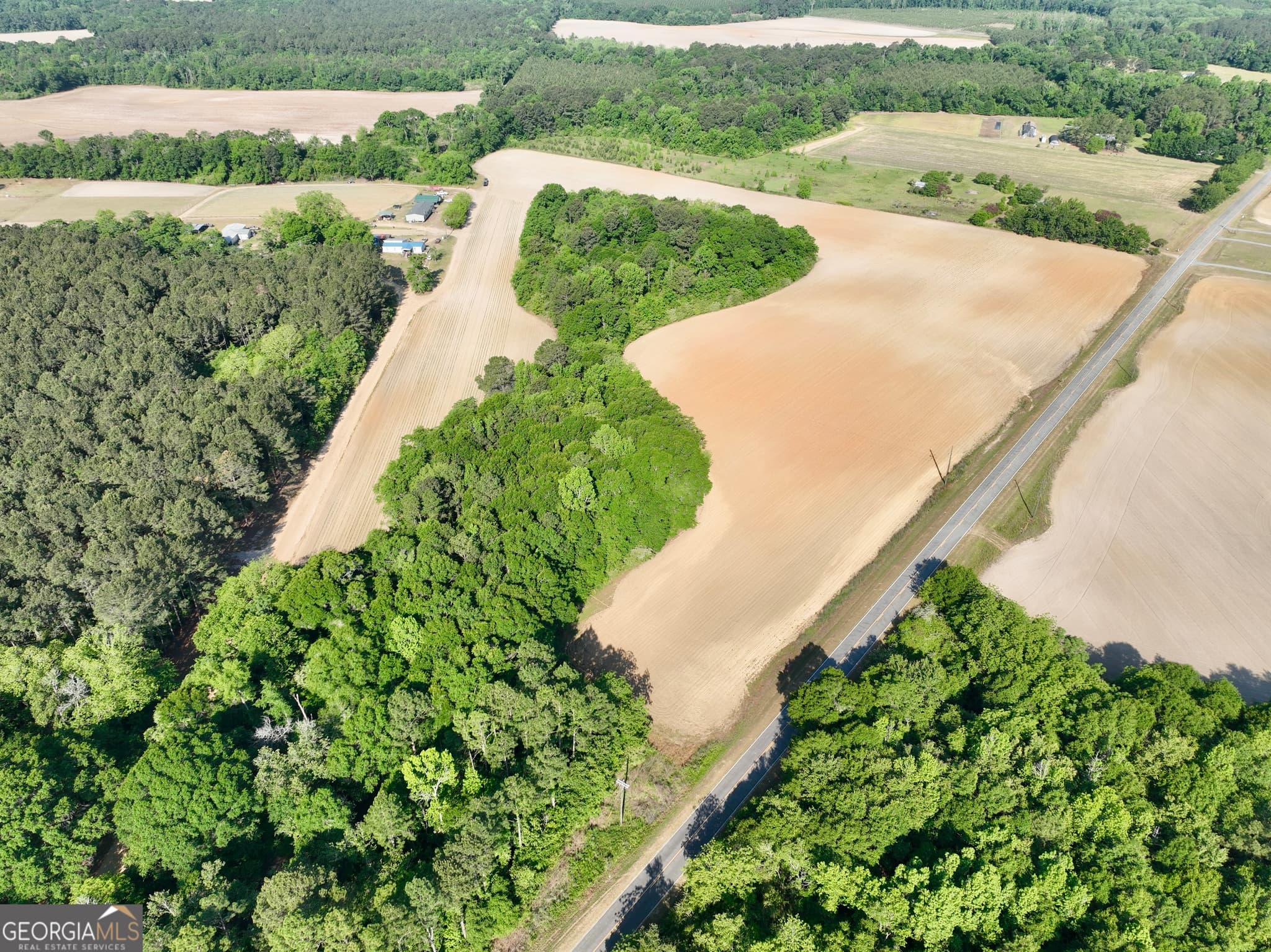 agriculture for sale at 0 Folds Road, Pineview, GA 31071 — photo 4