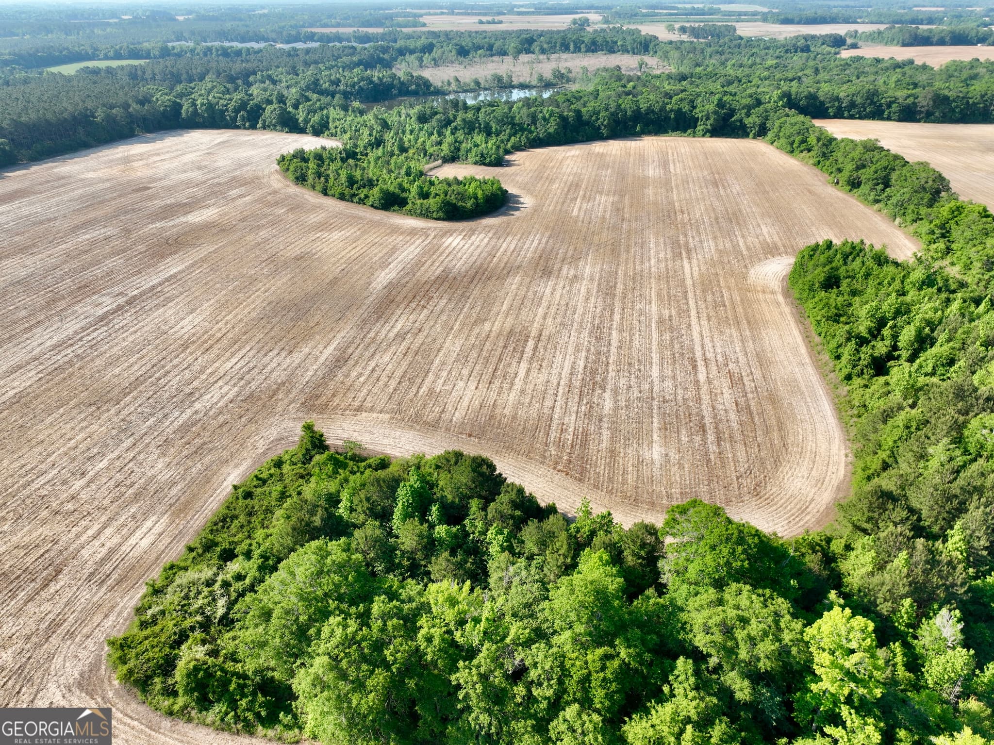agriculture for sale at 0 Folds Road, Pineview, GA 31071 — photo 8