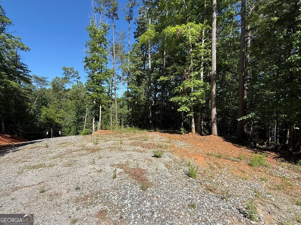 unimproved land for sale at 0 Limber Lost Trail, Cleveland, GA 30528 — photo 2