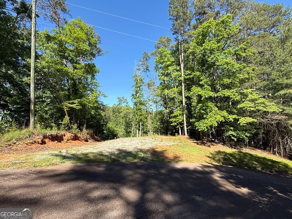 unimproved land for sale at 0 Limber Lost Trail, Cleveland, GA 30528 — photo 6