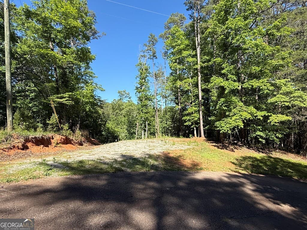 unimproved land for sale at 0 Limber Lost Trail, Cleveland, GA 30528 — photo 3
