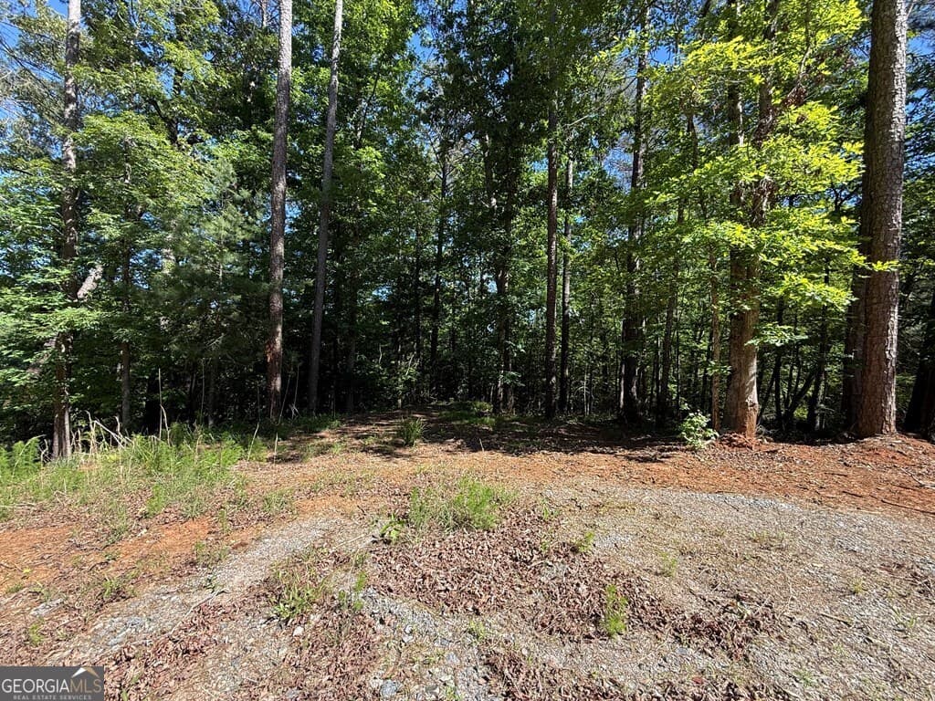 unimproved land for sale at 0 Limber Lost Trail, Cleveland, GA 30528 — photo 5