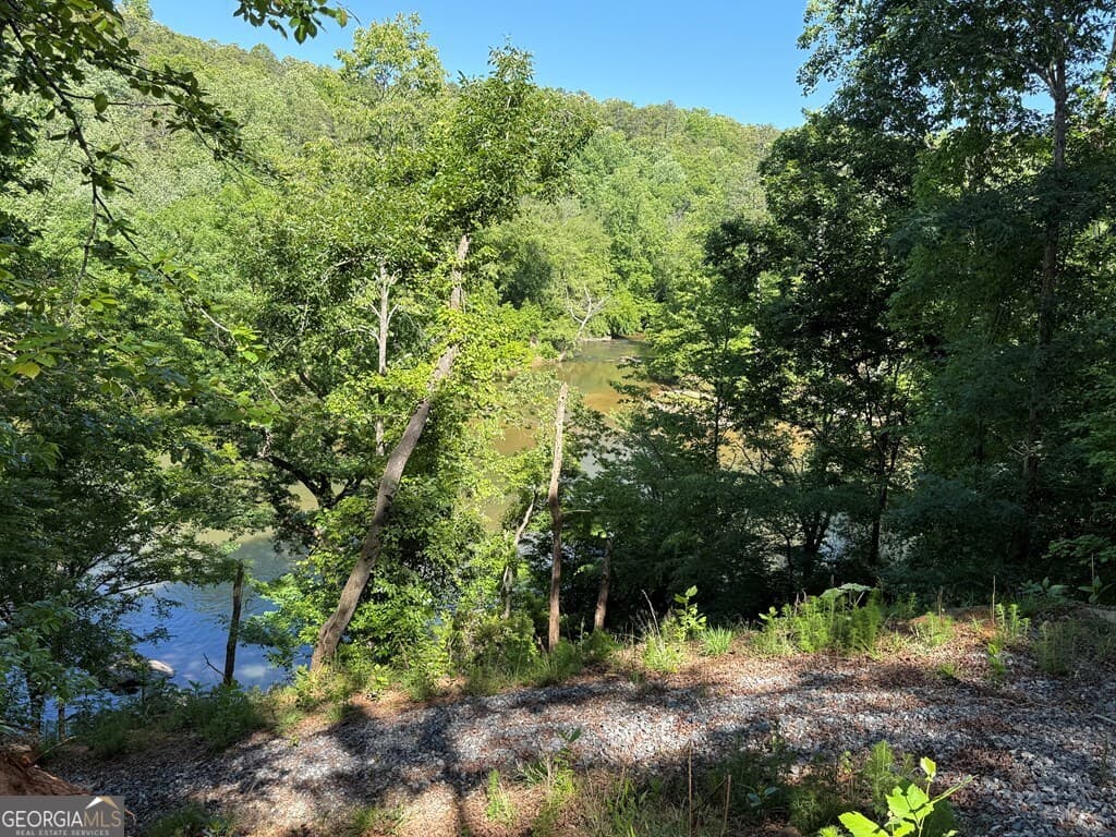 unimproved land for sale at 0 Limber Lost Trail, Cleveland, GA 30528 — photo 10