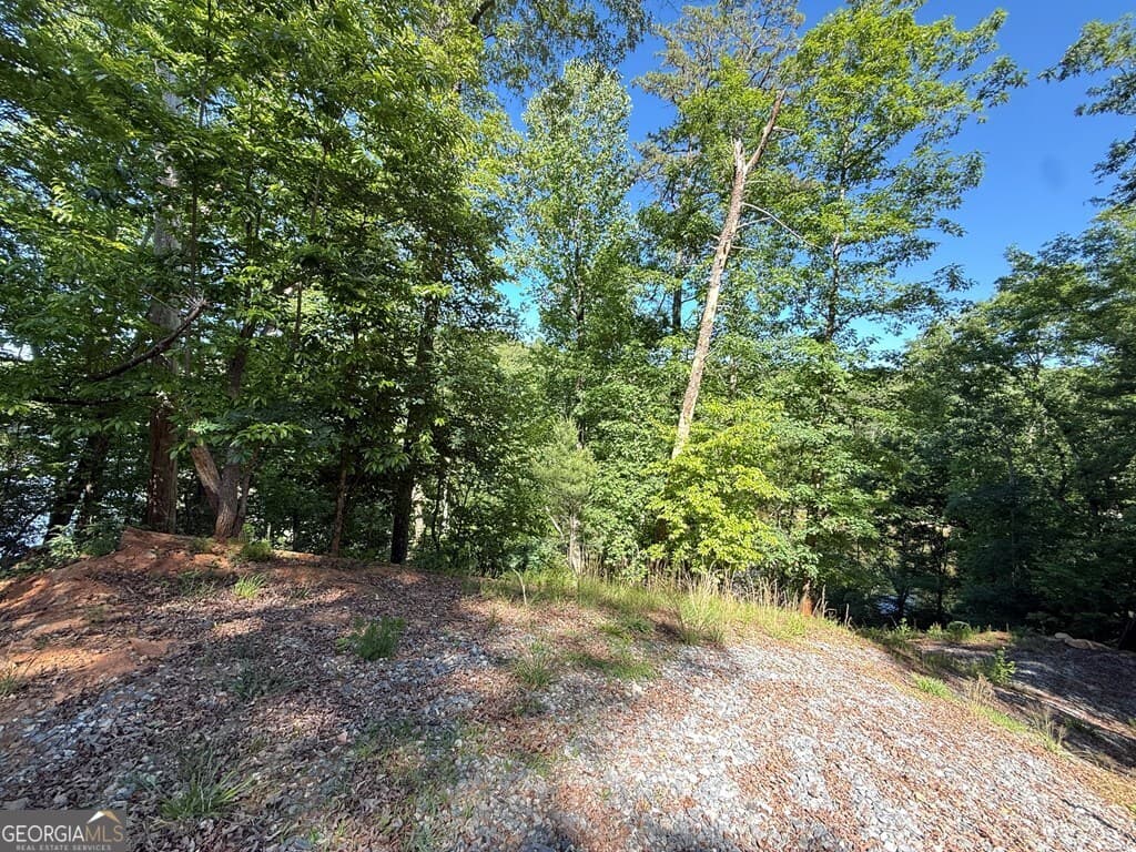 unimproved land for sale at 0 Limber Lost Trail, Cleveland, GA 30528 — photo 4