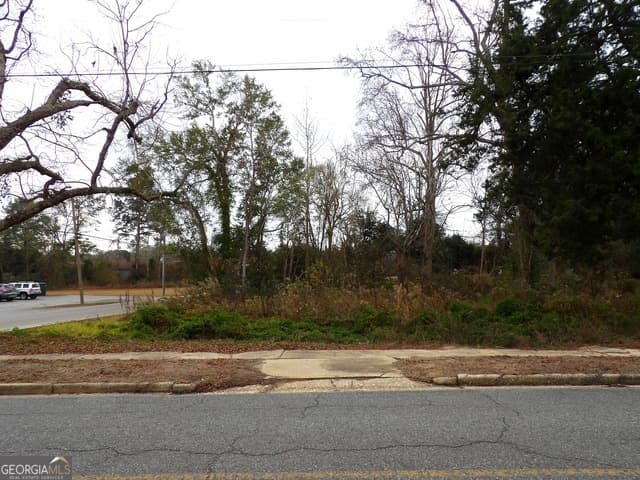agriculture for sale at 602 N Franklin Street, Dublin, GA 31021 — photo 10