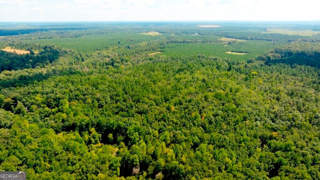 unimproved land for sale at 3480 Highway 56, Waynesboro, GA 30830 — photo 2