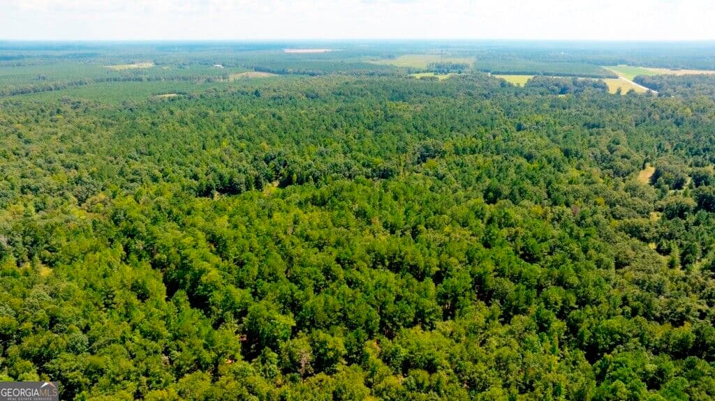 unimproved land for sale at 3480 Highway 56, Waynesboro, GA 30830 — photo 6