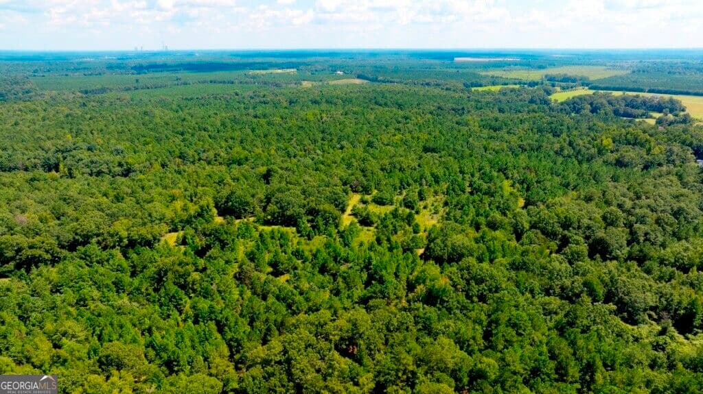 unimproved land for sale at 3480 Highway 56, Waynesboro, GA 30830 — photo 7