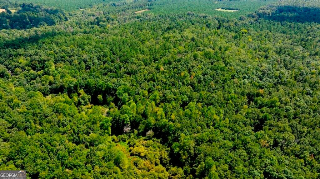 unimproved land for sale at 3480 Highway 56, Waynesboro, GA 30830 — photo 3
