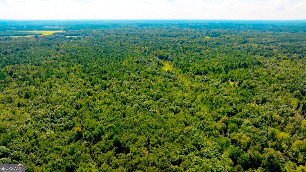unimproved land for sale at 3480 Highway 56, Waynesboro, GA 30830 — photo 1 of 35